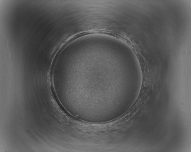 X0000070870002200606191354