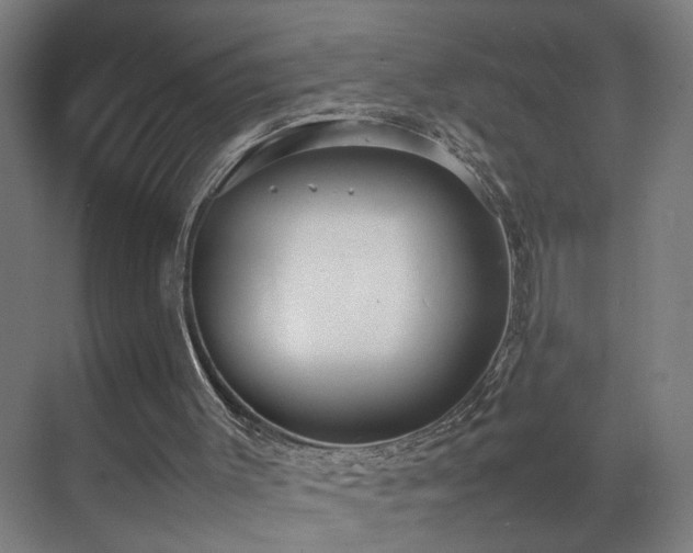 X0000070870003200606191354