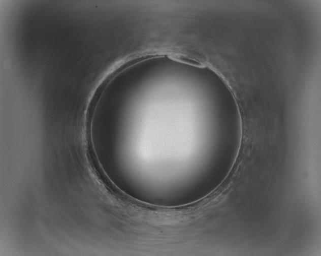 X0000070870008200606191354