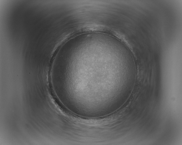 X0000070870010200606191354