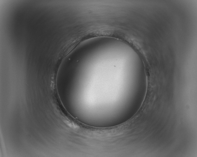 X0000070870017200606191354