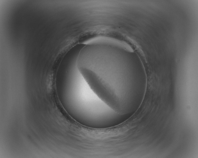 X0000070870018200606191354