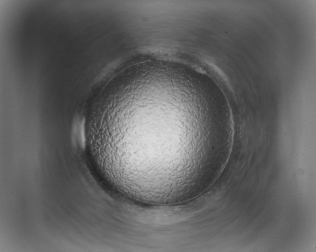 X0000070870020200606191354