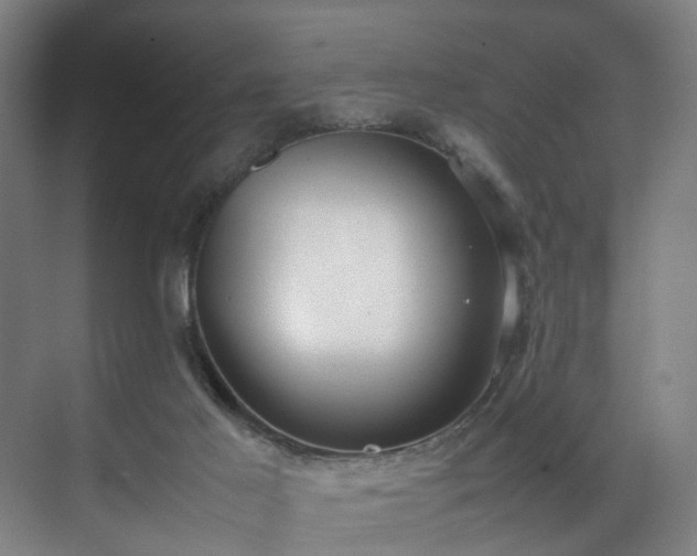 X0000070870021200606191354