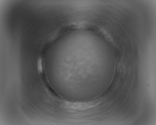 X0000070870026200606191354