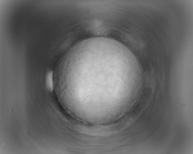 X0000070870028200606191354