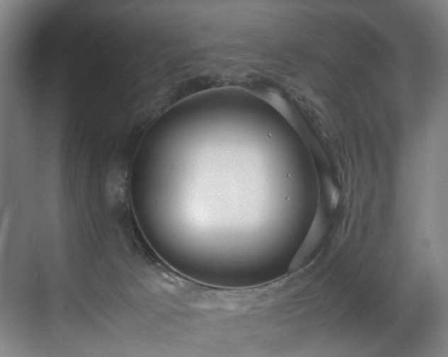 X0000070870033200606191354