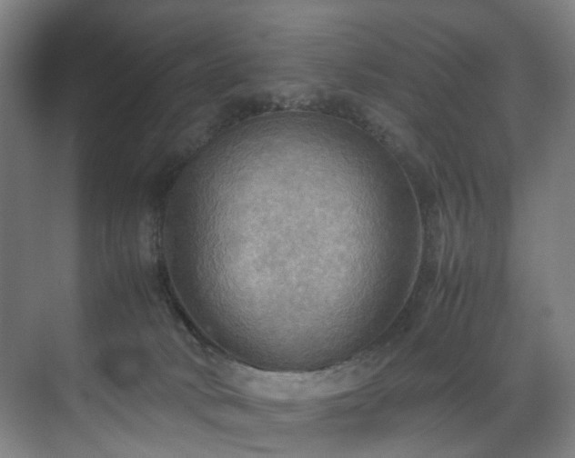 X0000070870034200606191354