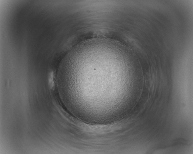 X0000070870038200606191354