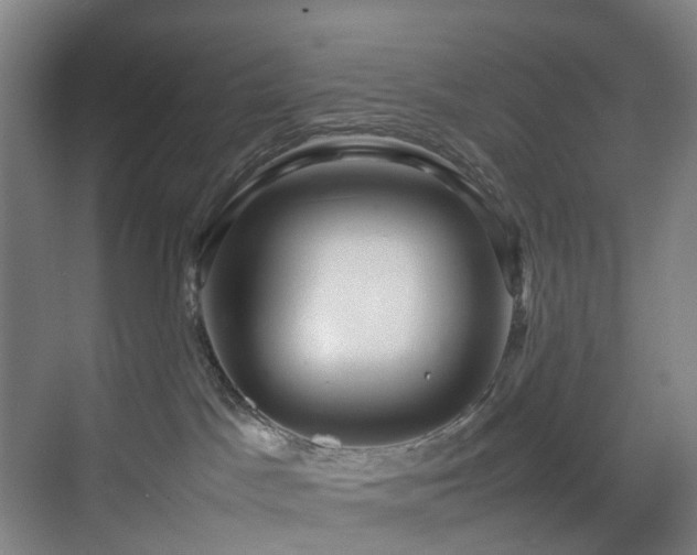 X0000070870045200606191353