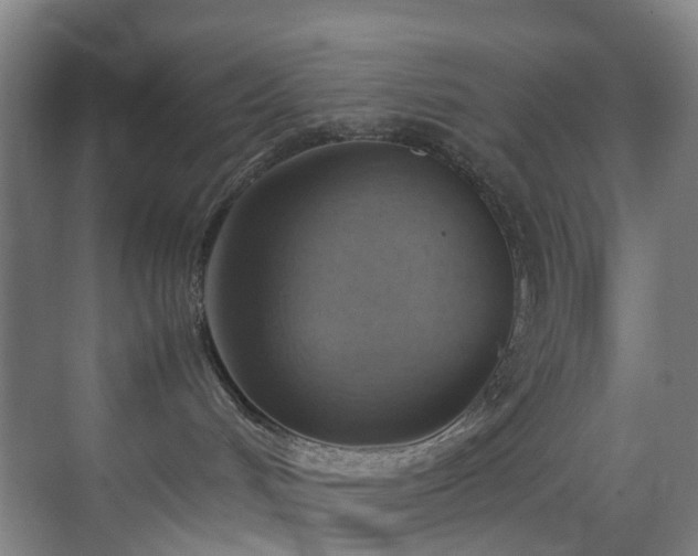 X0000070870048200606191353