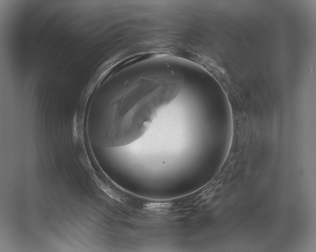 X0000070870051200606191353