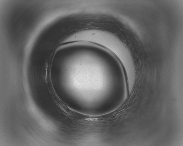 X0000070870052200606191353
