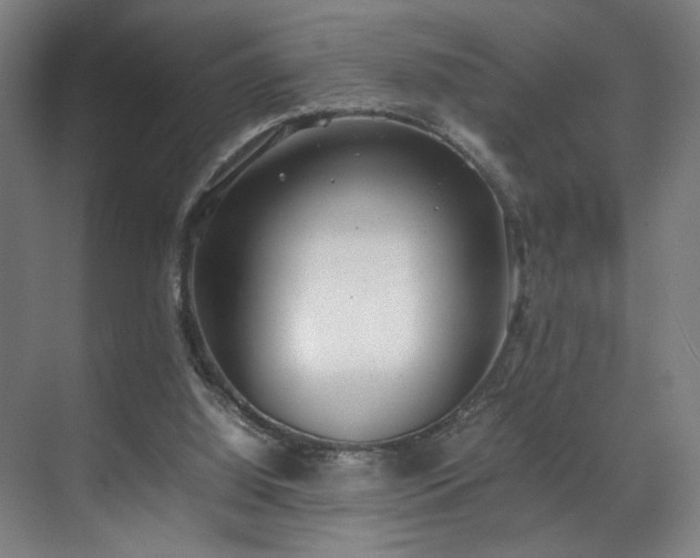 X0000070870060200606191353