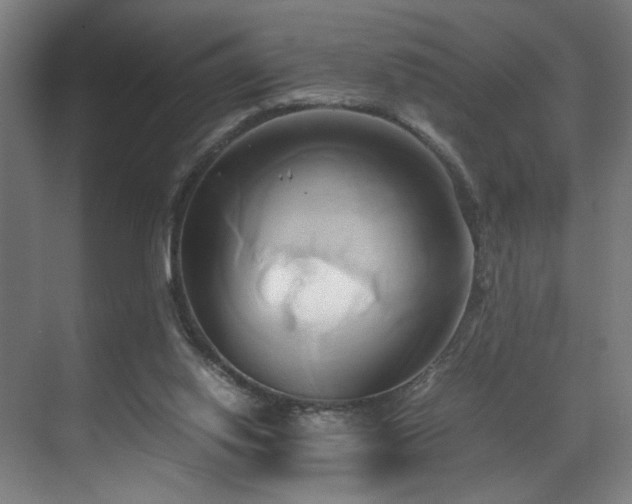 X0000070870062200606191353