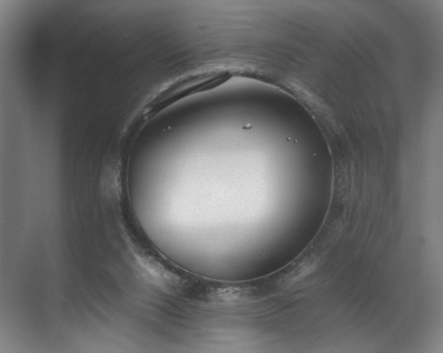 X0000070870064200606191353