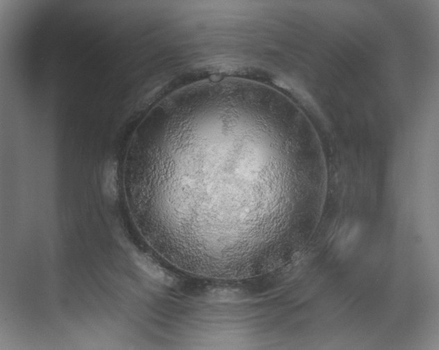 X0000070870066200606191353