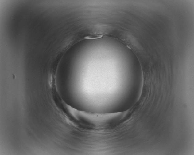 X0000070870076200606191353
