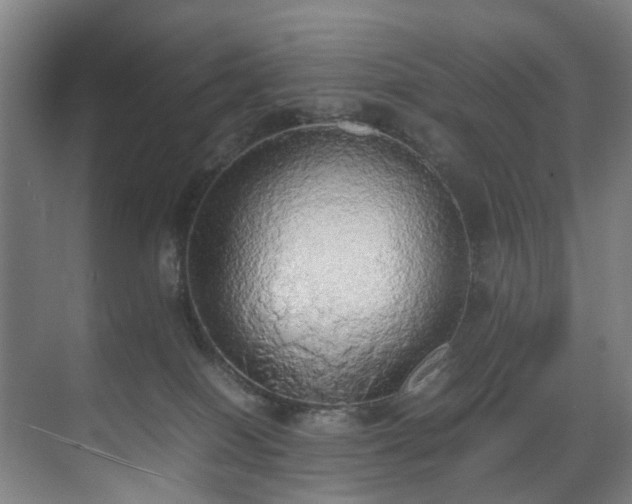 X0000070870086200606191353
