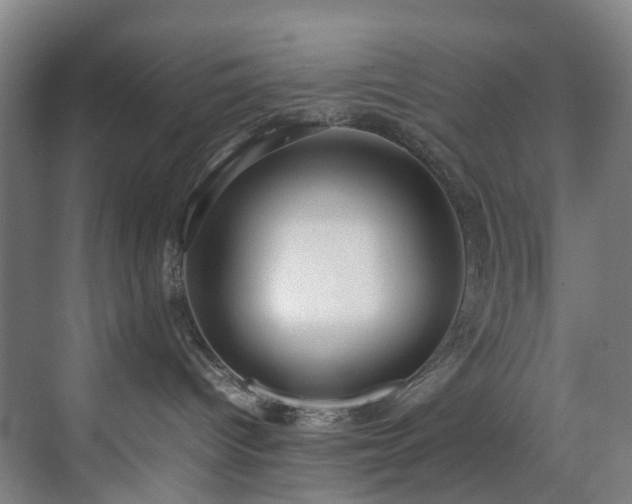 X0000070870096200606191353