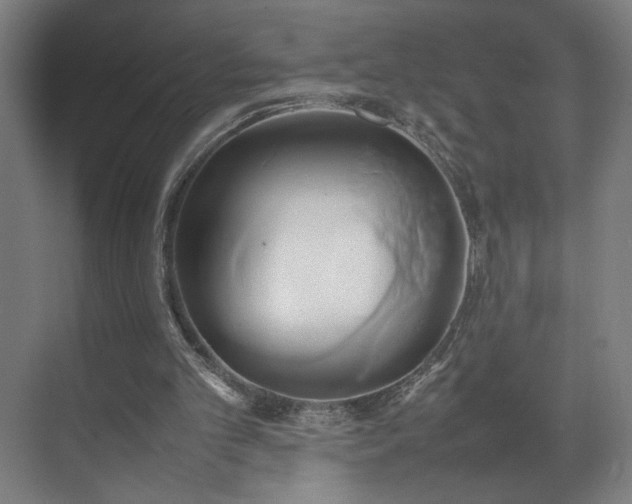 X0000070870101200606191353