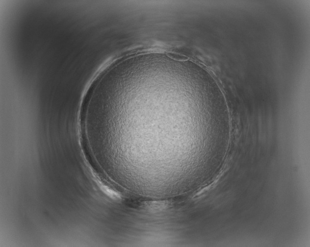 X0000070870102200606191352