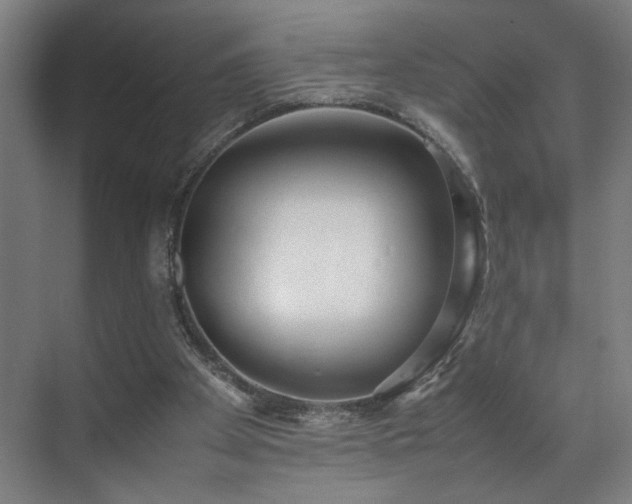X0000070870105200606191352