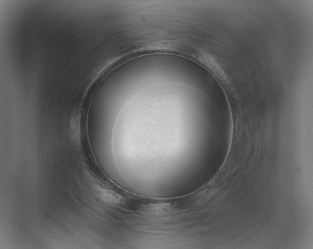 X0000070870108200606191352
