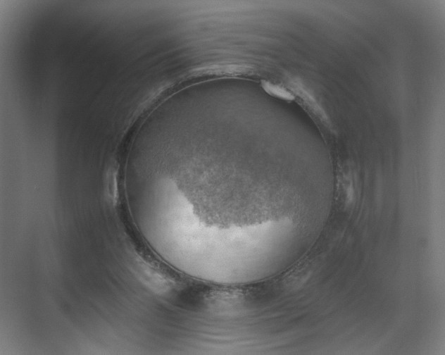 X0000070870110200606191352