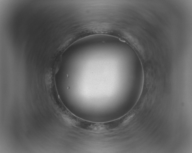 X0000070870113200606191352