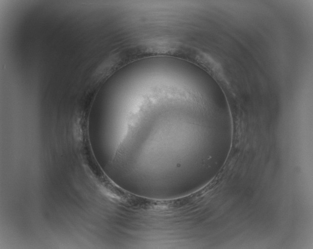 X0000070870114200606191352