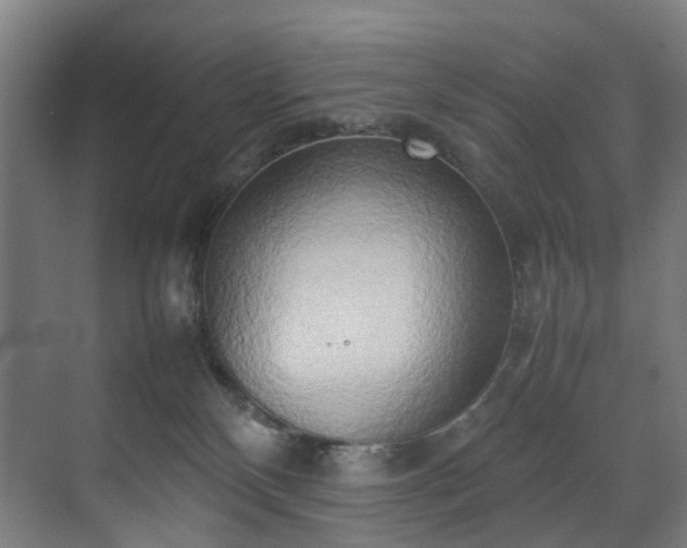 X0000070870136200606191352