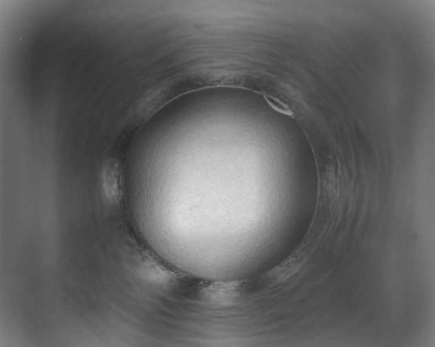 X0000070870138200606191352