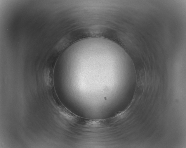 X0000070870140200606191352