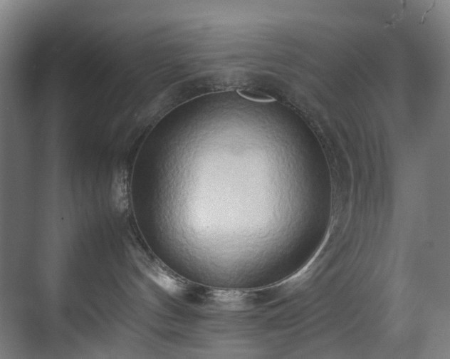 X0000070870144200606191352