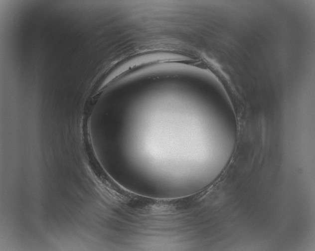X0000070870154200606191351