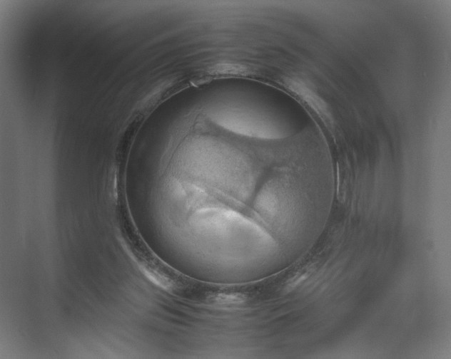 X0000070870157200606191351