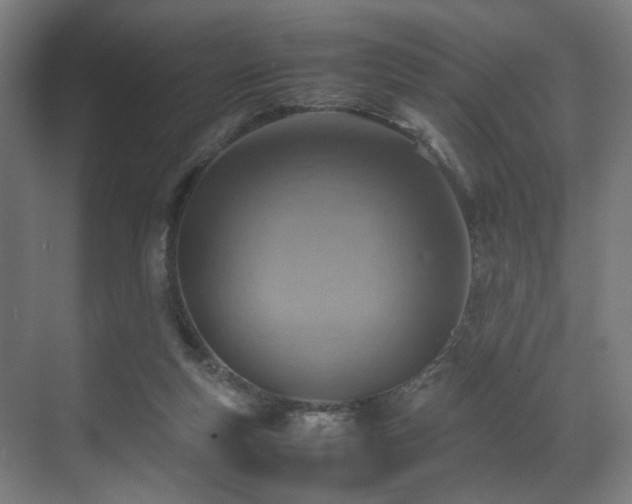X0000070870163200606191351