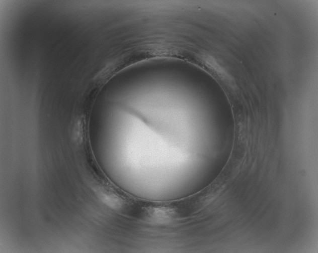 X0000070870165200606191351