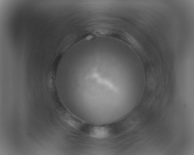 X0000070870169200606191351
