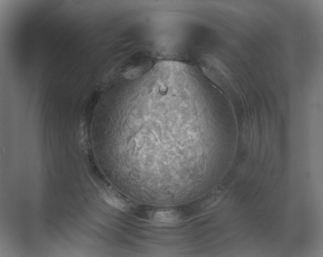X0000070870173200606191351