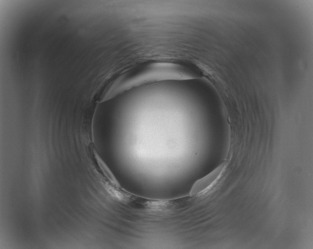 X0000070870192200606191352