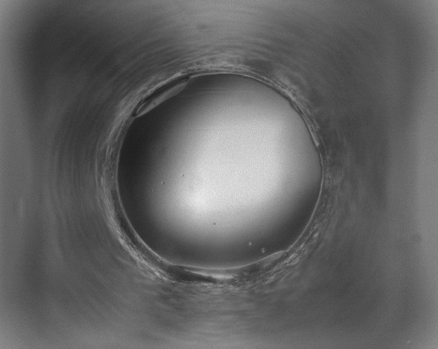 X0000070870193200606191351