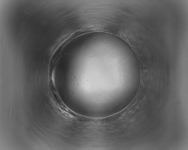 X0000070870194200606191351