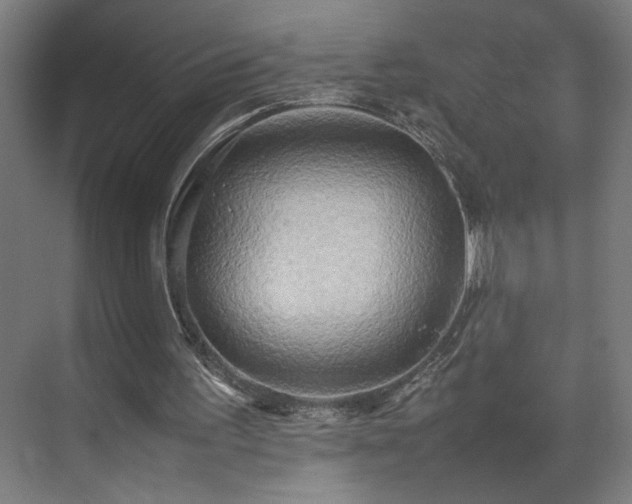 X0000070870195200606191351