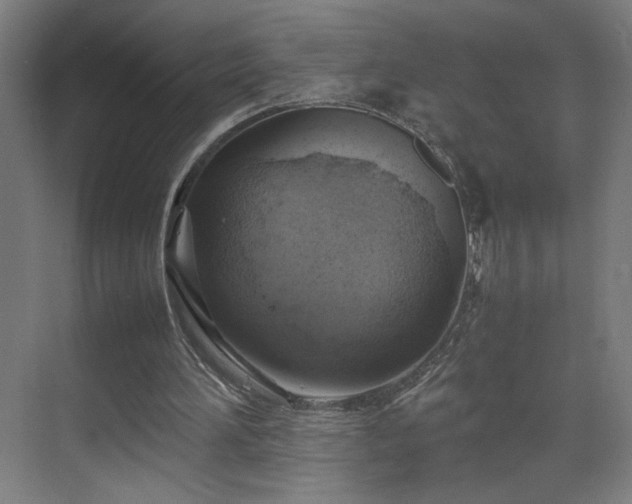 X0000070870196200606191351