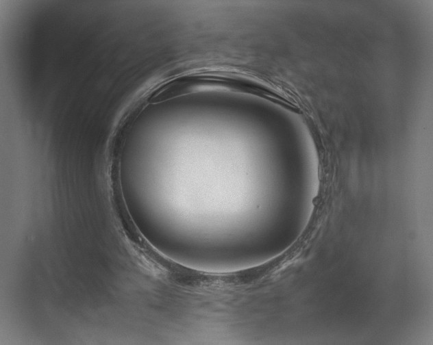 X0000070870197200606191351