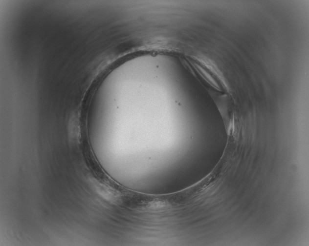 X0000070870204200606191351