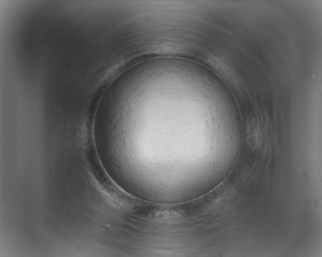 X0000070870208200606191351