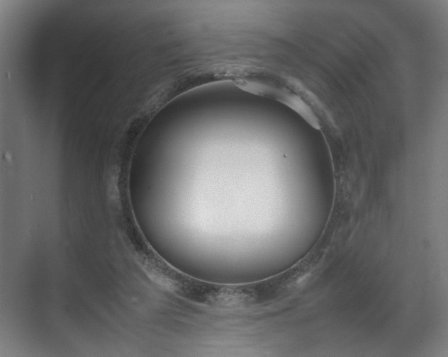X0000070870209200606191351